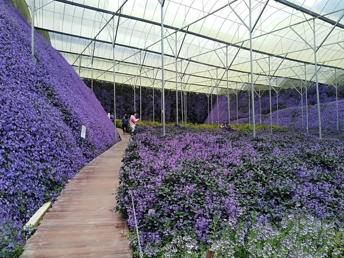 Cameron Highlands Flora Park, Malaysia